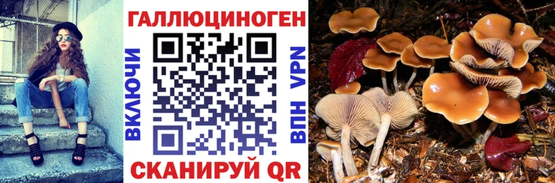 Псилоцибиновые грибы ЛСД  Сегежа 